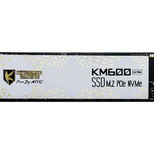 AITC Kingsman Gaming KSKM600UM256228 M.2 2280 | 256GB M.2 NVMe1.4